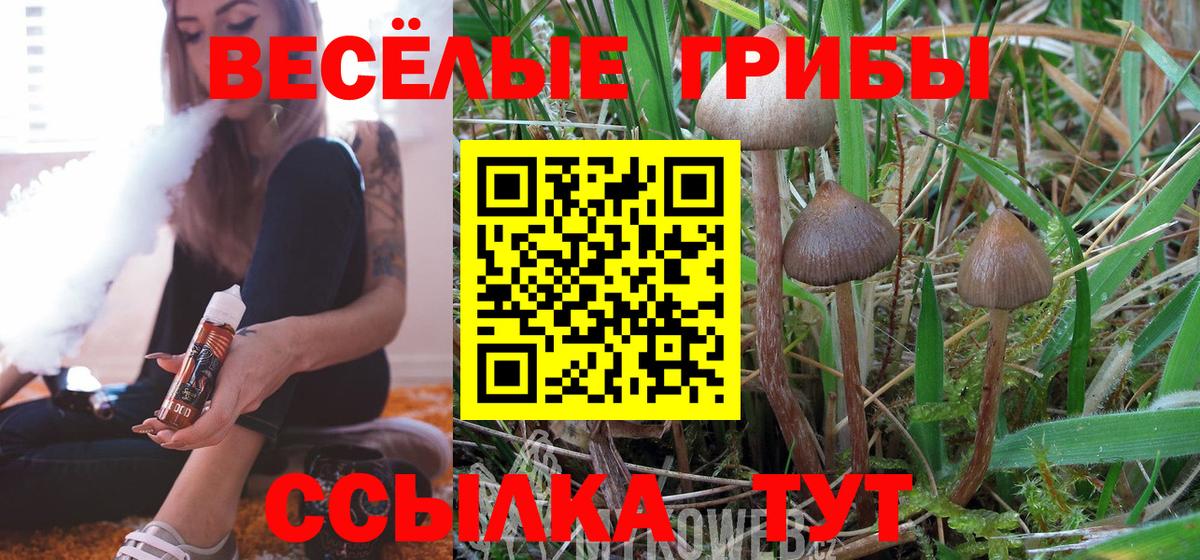 Будённовск  Псилоцибиновые грибы GOLDEN TEACHER  Псилоцибиновые грибы Cubensis  Вход с VPN 